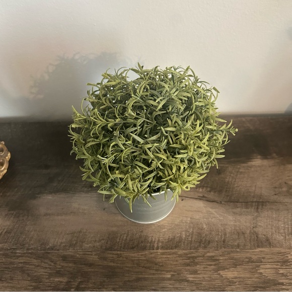 Artificial potted plant, Rosemary, 3 ½ - Picture 2 of 3